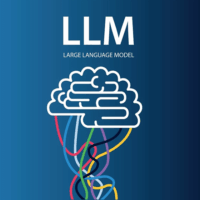 Large Language Model for Beginer