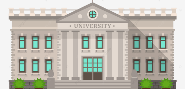 Academia university of zimbabwe